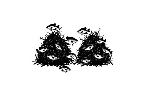 School of Perch Fish Swimming Among Aqua Graphics